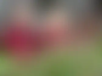 Upcoming Open Events at George Watson's College