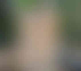 Little Bugs Outdoor Nursery