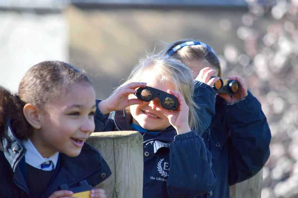 Looking for a schools perfect for your child?