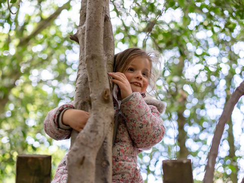 Child up tree