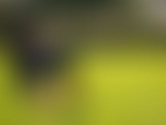 Dollar Academy's Summer Sports Camps: Residential Option Available for Rugby