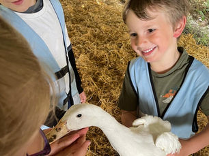 Easter Holiday Club: Let them live the farm life
