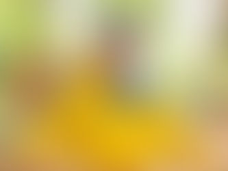 The Forest Assessment Day P1-P5