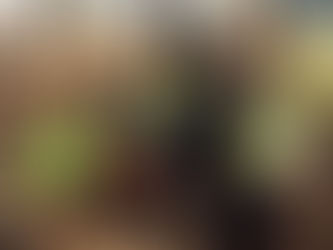 New Christian Classical Primary School opens in Edinburgh