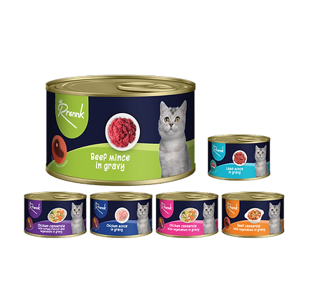 rraannk assets-06.png