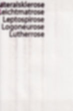 4.1 Wörter, die "rose" enthalten