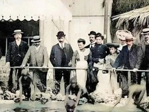İnsanat Bahçelerinin Gölgesinde: Sömürgecilik ve İnsanlık Onuru