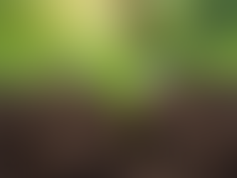 Cultivate Wellness Through Gardening: Embracing Gardening Therapy Benefits