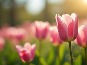 Seasonal Wellness Strategies for Every Season