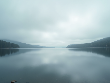 Bipolar Disorder Insights: Understanding Bipolar Disorder and Its Impact