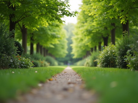 Practical and Effective Mindfulness Practices to Enrich Your Life