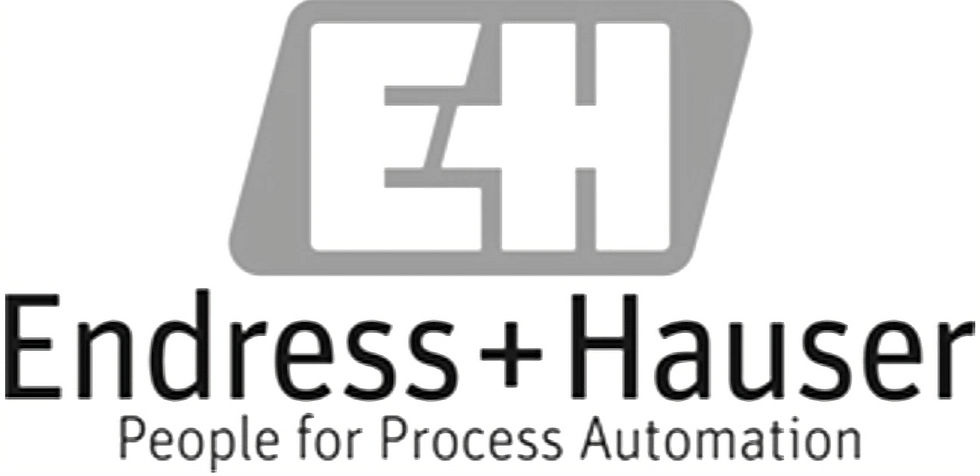 Endress + Hauser
