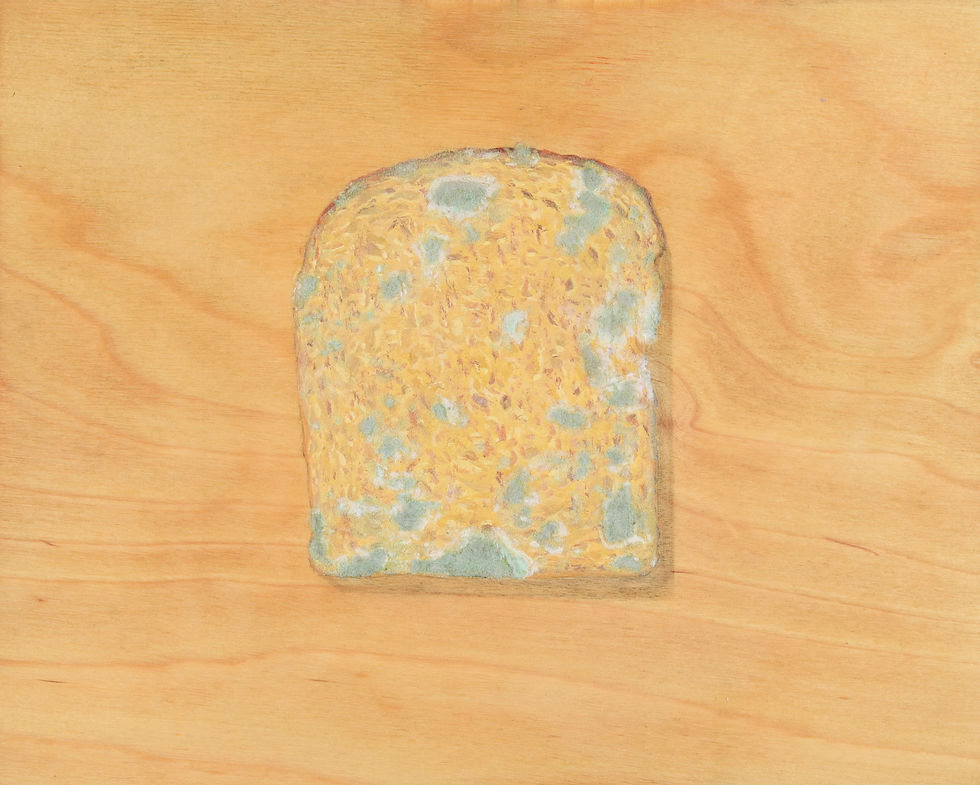 decompose-14, 2016, 23x30