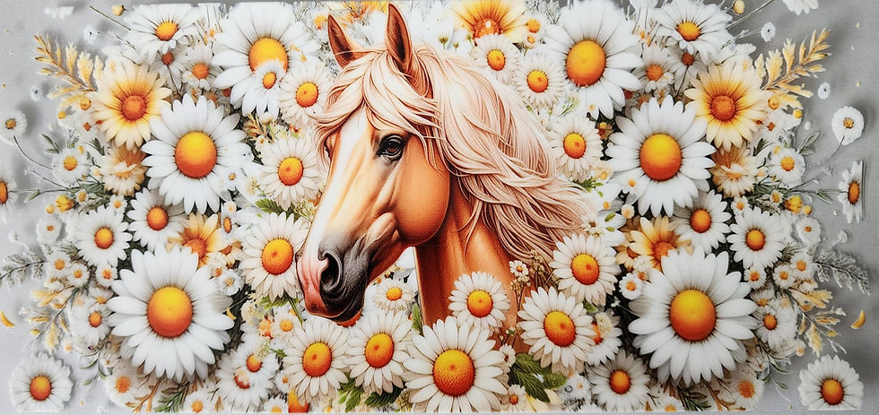 Country & Animals #11