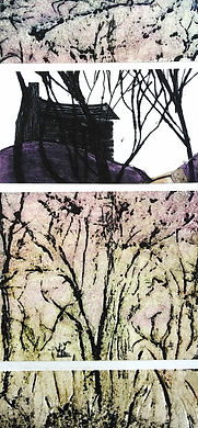 Lindsey Graham, House in the Trees, Coll