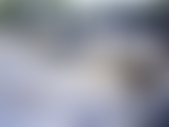 從引擎到演算法:汽修業如何迎戰智慧座艙時代