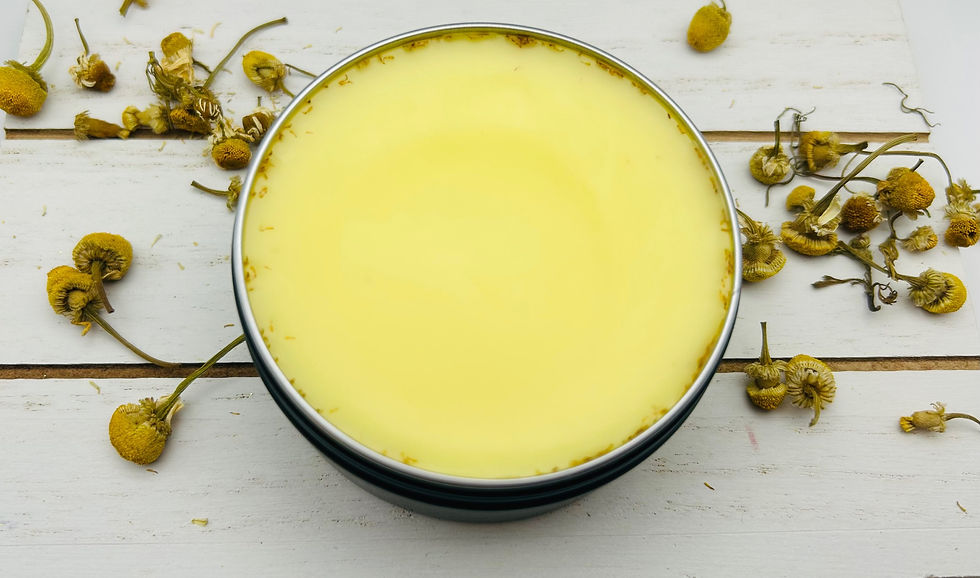 Thumbnail: Herbal Infused Tallow Balm 