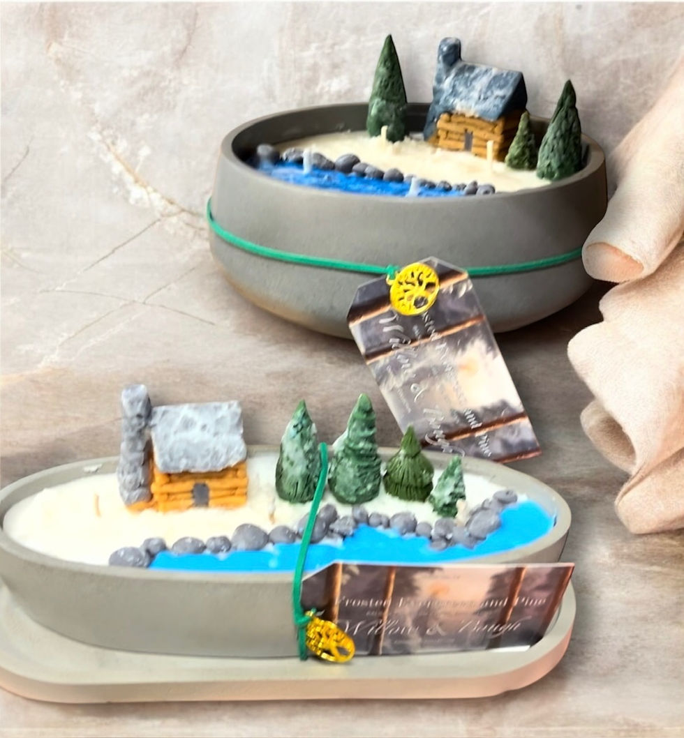 Winter/Holiday Scenes