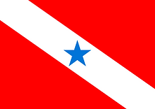 bandeira-pará.png
