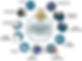 unified-communication-platforms.jpg