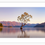 Thumbnail: That Wanaka Tree NZ