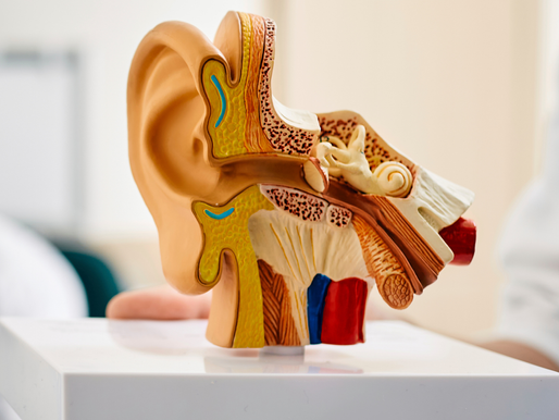Why Does My Ear Crackle When I Chew?