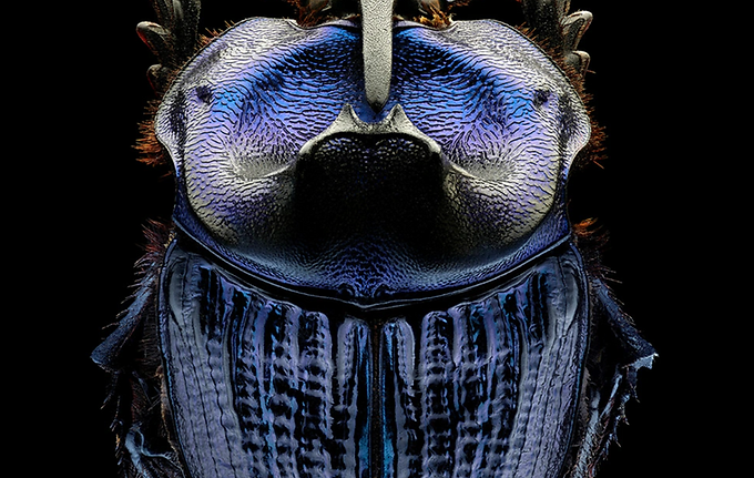 Screenshot 2026-02-19 164804.png