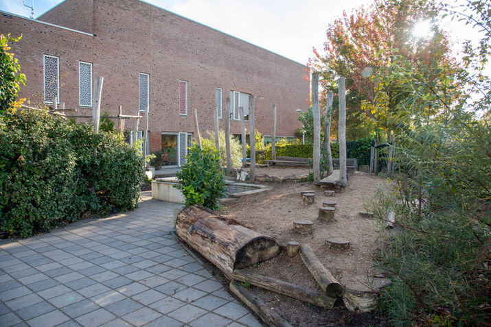 StadsOase transformeert versteende schoolpleinen in groene oases voor stedelijke kinderen.