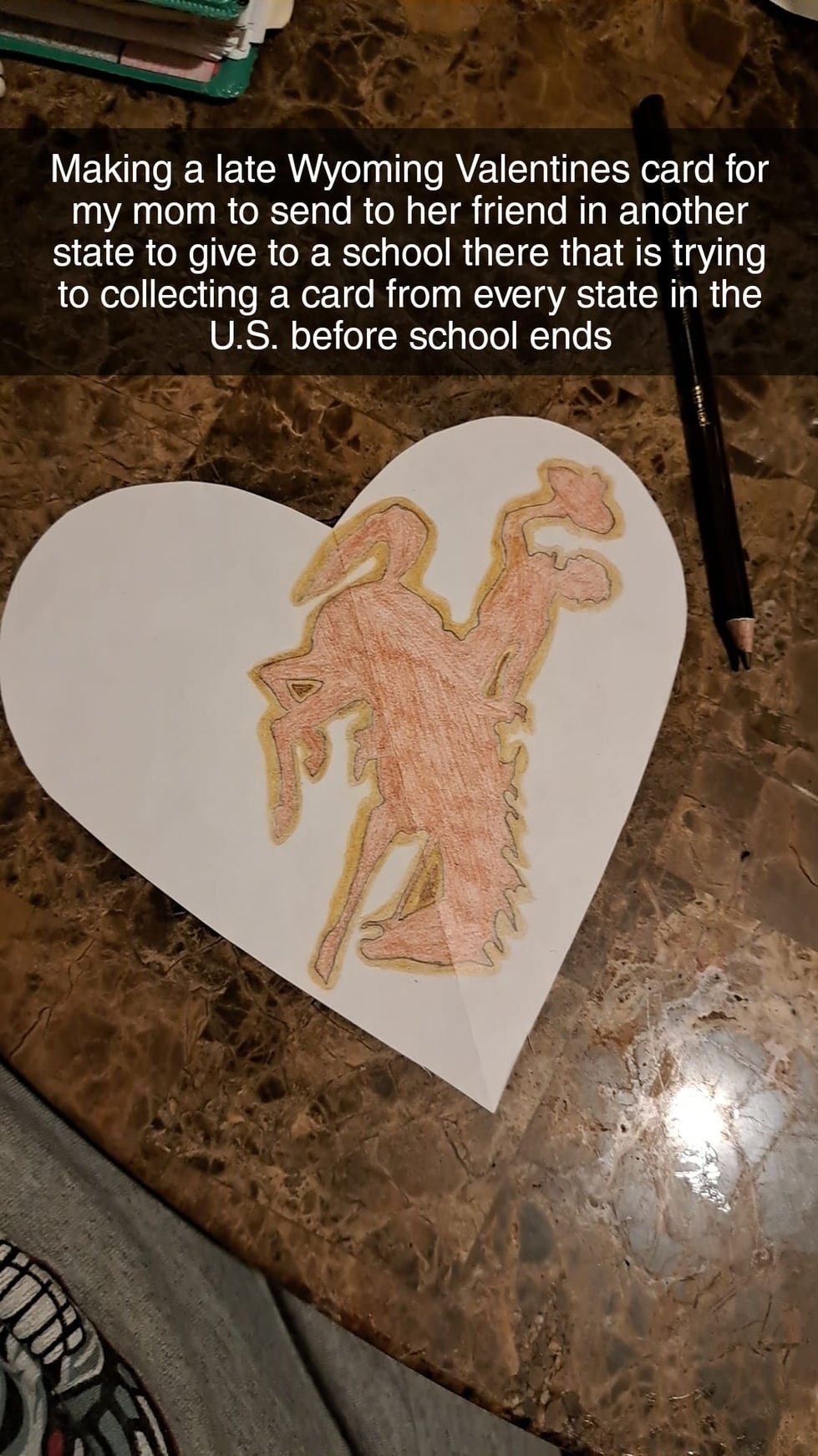 wyomingcowboy