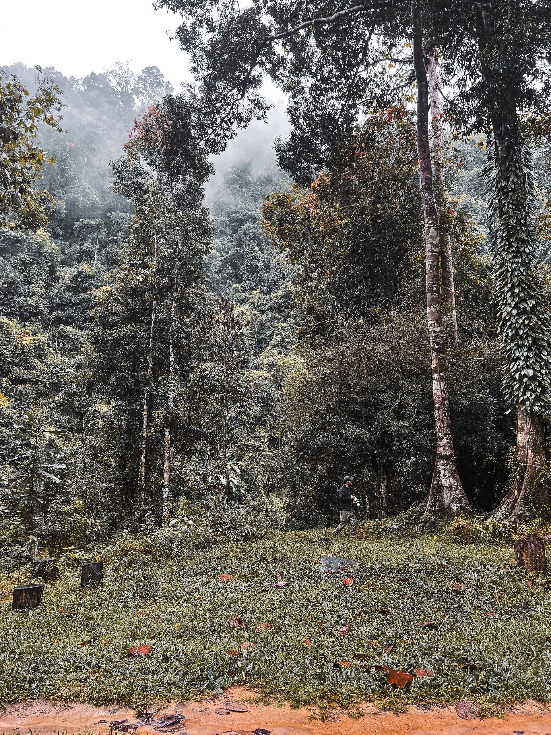 ergleich Trockenzeit und Regenzeit in Thailand – Strand bei blauem Himmel vs. grüner Dschungel im Regen