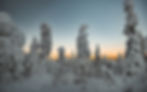 Winterurlaub in Lappland