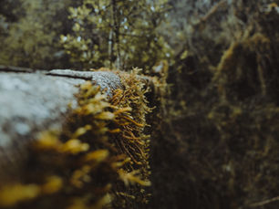 Die Beste Reisezeit für Ecuador und die Galápagos Inseln