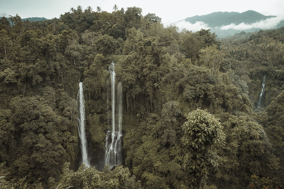 Sekumpul Wasserfall Drohnenperspektive