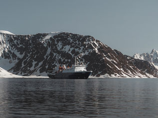 Best Time to Visit the Arctic – When to See Polar Bears, Take an Arctic Cruise & Chase the Northern Lights