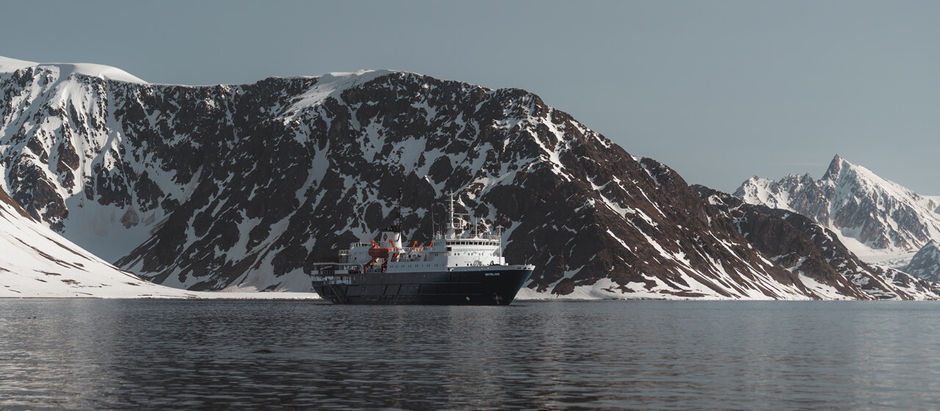 Best Time to Visit the Arctic – When to See Polar Bears, Take an Arctic Cruise & Chase the Northern Lights