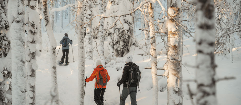 Drei Menschen wandern im verschneiten Wald mit Schneeschuhen in Finnisch Lappland. Sie tragen Outdoor-Kleidung, Rucksäcke, leuchtende Farben. Friedliche Winterlandschaft.