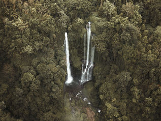 Sekumpul Wasserfall Bali – Anreise, Eintritt, Tipps & beste Besuchszeit