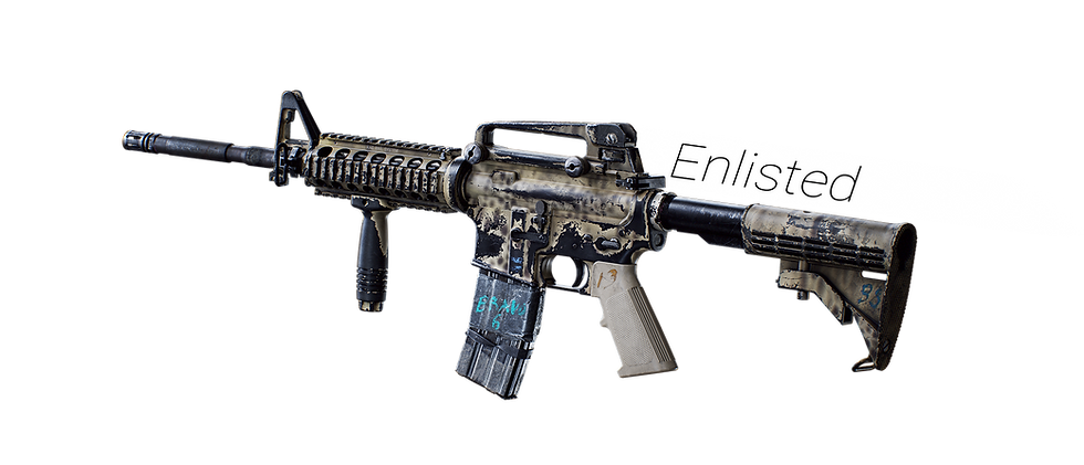 WeaponCamos_enlisted.png