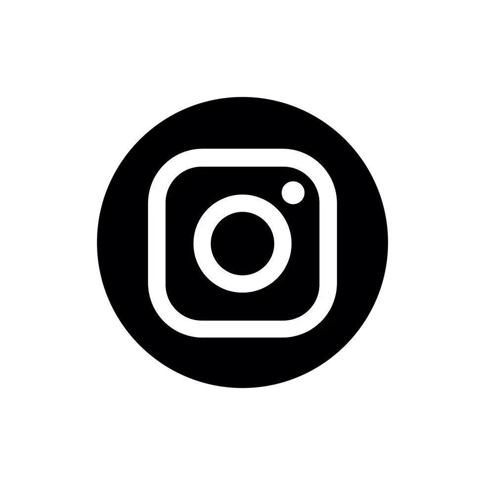 instagram-logo-instagram-icon-transparent-free-png.webp