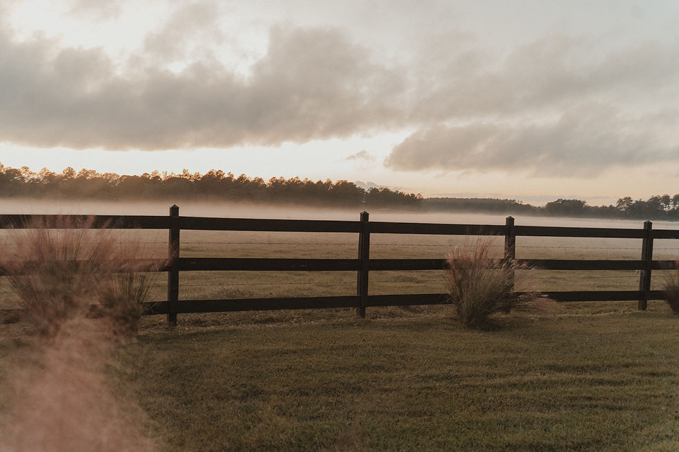 carlos & pam-126.jpg