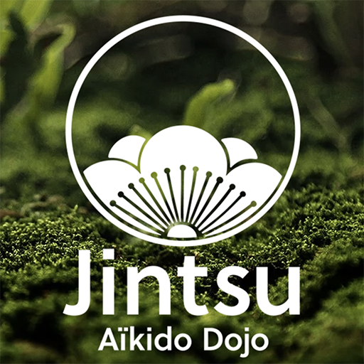Cours d'aïkido enfants