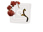 IMG_0658.PNG