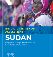 Sexual, gender-based violence on the rise in Sudan: report