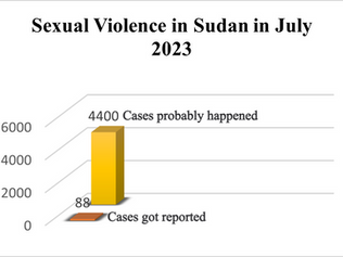 Why Rape Survivors’ Testimonies Are Rare in Sudan