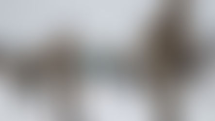 L’armée russe attaque Kharkiv, ville aux 25 théâtres et 24 musées