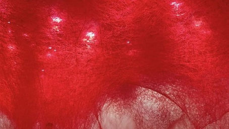 Un printemps pour faire commando poétique