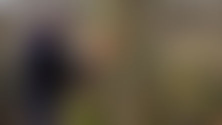 Affouage, éco-blockhaus, Germinal, carnaval, soirées sado-masochistes et Saint-Valentin.