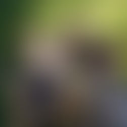 Comment russifier les enfants ukrainiens ?, mode d'emploi génocidaire