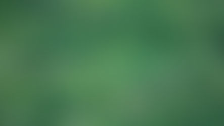 Pérou : une "campagne d'extermination" contre des peuples non connectés