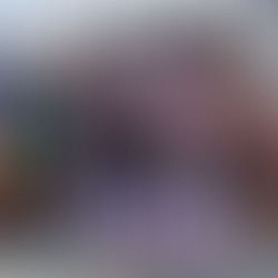 26 décembre. A l'heure des résolutions, Trump bombarde le Nigeria